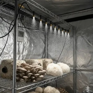 An automated misting system with foggers attached to the ceiling of a mushroom grow tent for precise humidity control.
