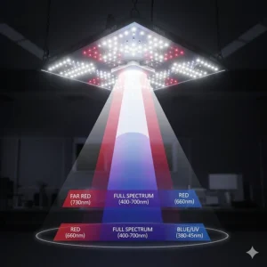 Visual representation of the full spectrum light emitted by a 4x4 grow light including blue, red, and far-red wavelengths.