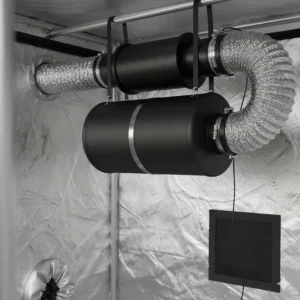 Diagram or photo showing the proper ventilation setup for a mushroom grow tent, including an inline fan and carbon filter.