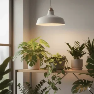 Collection of indoor houseplants thriving under the warm, natural light from a decorative pendant grow light.