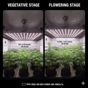 Chart detailing the recommended hanging height for a 4x4 grow light during vegetative and flowering stages.