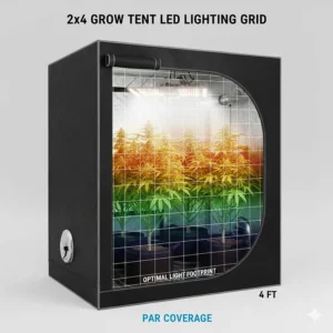 Graphic showing the optimal light hanging height and PAR footprint for a 2x4 grow space.