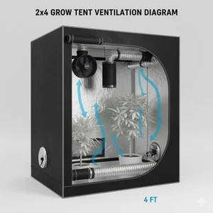 Illustration of proper airflow and carbon filter placement inside a 2x4 grow tent.