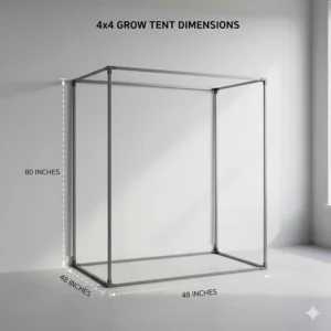 Diagram illustrating the exact 4x4 grow tent dimensions (48"x48"x80") for standard indoor gardening space.
