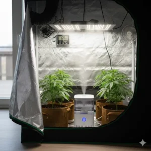 A grow tent humidifier running inside a small indoor grow setup, clearly showing the mist output and digital display.