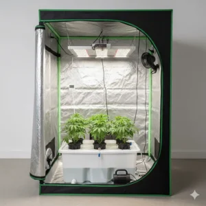 An illustration demonstrating a complete hydroponic deep water culture (DWC) system integrated perfectly inside a functional grow tent.