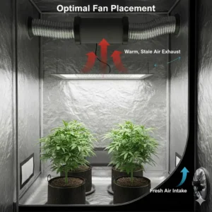 Diagram showing the ideal setup for a grow tent fan, placing the exhaust fan high up to remove the warmest air efficiently.