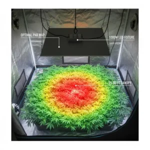 Visual representation of the optimal PAR map and light coverage inside a 5x5 grow tent using a 1000W LED fixture.