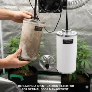 Visual depiction of a spent or old carbon filter being replaced with a new unit, a key step in grow tent odor management.