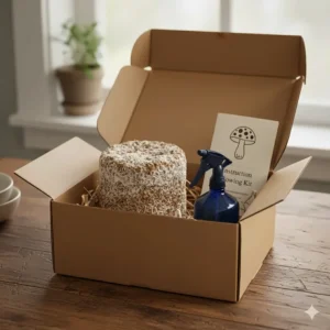 An open shiitake mushroom growing kit box showing the sawdust substrate block, spray mister, and instruction manual.
