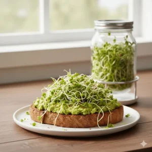 Freshly grown alfalfa sprouts used as a healthy topping on avocado toast to show the final result.