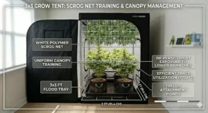 Illustration of a Screen of Green (ScrOG) trellis net installed in a 3x3 grow tent for plant training.