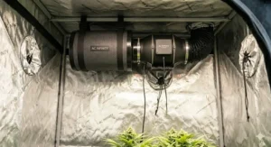 A photorealistic internal view showing the carbon filter and inline fan securely mounted to the frame poles for odor control in a 2x2 grow tent.