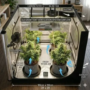 Illustration of proper airflow in a 3x3 grow tent using an inline duct fan and carbon filter.