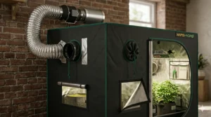 Detail view of the double-cinched duct ports on a Mars Hydro 2x2 tent for carbon filter and fan installation.