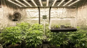 Detailed illustration of 4x4 grow tent bundle accessories including timers, hygrometers, trellis netting, and pruning shears.