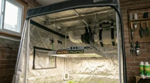 An illustration of budget grow tent roof bars supporting an affordable LED grow light.