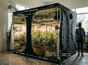 A detailed dimensions and size comparison chart for a large indoor grow tent, illustrating width, depth, and height specifications for indoor gardeners.