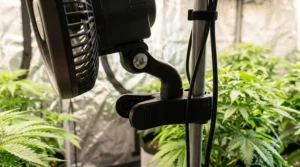 A heavy duty clip on oscillating fan securely attached to a vertical metal grow tent pole.