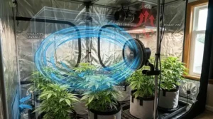 A 2D diagram illustrating proper air circulation paths using an oscillating fan inside an indoor grow tent.
