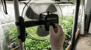 The multi-speed controller switch on a Hurricane fan designed for adjustable grow tent ventilation.