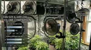 Side by side comparison of a six inch and an eight inch oscillating fan designed for different grow tent dimensions.