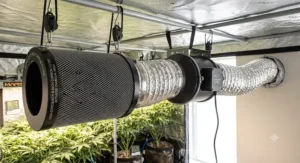Professional indoor ventilation setup featuring a 6-inch carbon filter connected to an inline fan