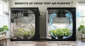 Comparison diagram showing clean air circulation provided by a professional grow tent air purifier.