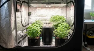 A compact grow tent air purifier efficiently filtering air inside a small home cultivation space.