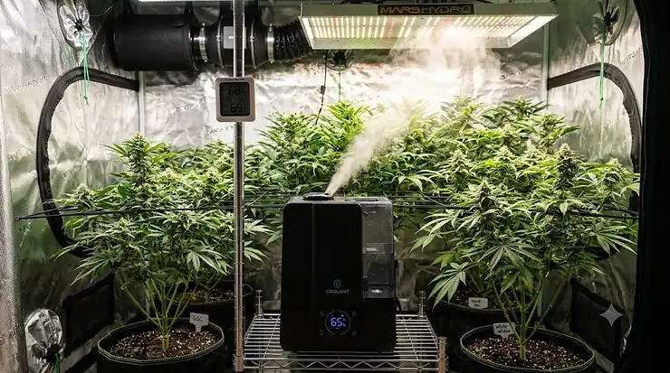 Compact cool mist humidifier running inside a lush indoor grow tent for optimal plant humidity.