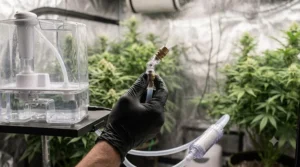 Close-up demonstrating how to adjust the fogger nozzle for optimal mist distribution.