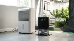 grow-tent-humidity-control-airflow