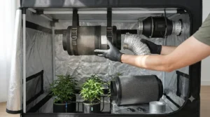 Routine maintenance for replacing an activated carbon filter in a controlled environment grow tent