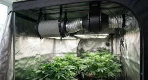 A 4 inch inline fan and carbon filter kit mounted in a professional indoor grow room