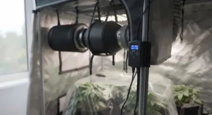 Adjustable speed controller connected to a 4-inch inline fan to manage air circulation in a 2x2 grow tent.