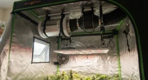 An air carbon filter and exhaust system installed inside a quiet grow tent setup.