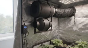 A compact 4-inch inline fan positioned in the corner of a 2x2 grow tent for stealthy operation.