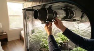 Hand installing the quietest inline fan into a bedroom grow tent to ensure stealthy and silent airflow.
