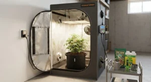 Small grow tent for vegetables starter kit including a fabric pot, LED light, and timer.