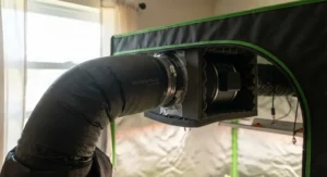 Insulated soundproof ducting connected to an inline fan in a quiet grow tent setup.