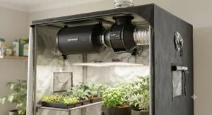 Exhaust fan and carbon filter attached to the top port of a grow tent for vegetables.
