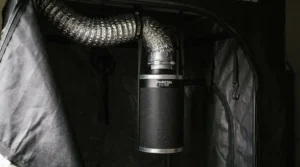 AC Infinity Cloudline 4 inch for closet grow tent carbon filter attached to ducting