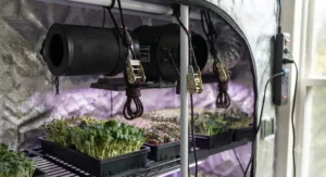 A 4-inch inline duct fan securely hung inside a microgreens tent using heavy-duty rope ratchets.