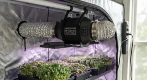 A 4-inch inline duct fan mounted near the top of a microgreens tent for exhaust.