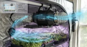 Diagram showing airflow direction using a 4-inch inline duct fan inside a microgreens tent setup.