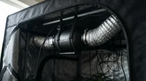 An AC Infinity Cloudline 6 inch vs Terrabloom 6 inch ventilation setup installed inside a hydroponic grow tent.